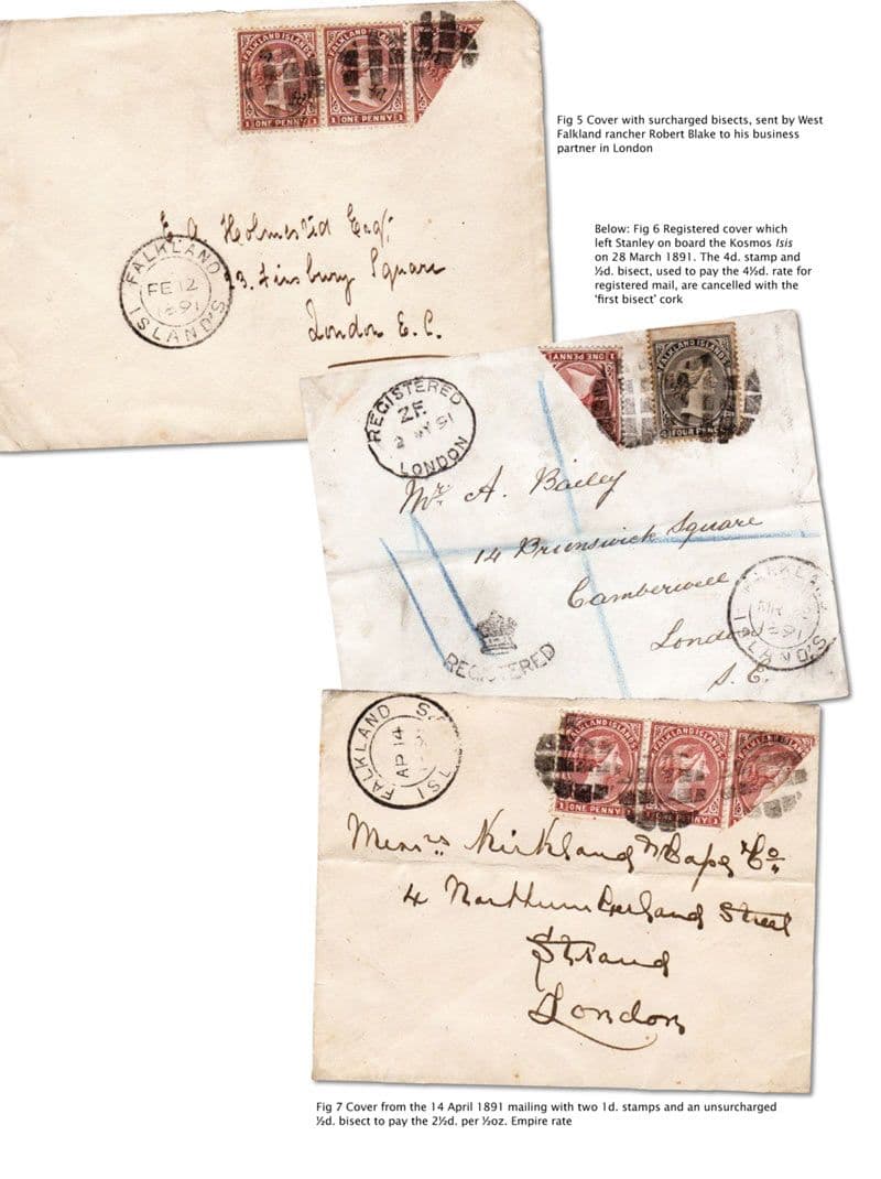 Stamps of The Falkland Islands: The 1891 Provisional Issue